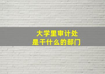 大学里审计处是干什么的部门