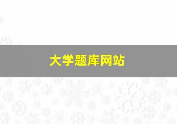 大学题库网站