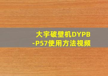 大宇破壁机DYPB-P57使用方法视频