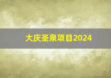 大庆圣泉项目2024