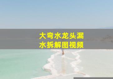 大弯水龙头漏水拆解图视频