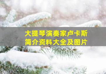 大提琴演奏家卢卡斯简介资料大全及图片