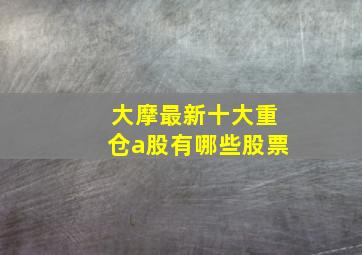 大摩最新十大重仓a股有哪些股票