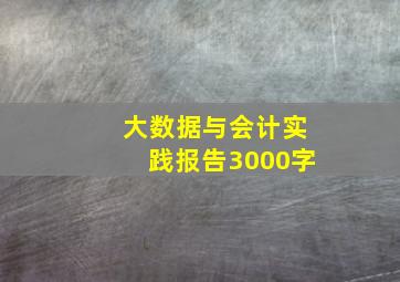 大数据与会计实践报告3000字