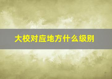 大校对应地方什么级别