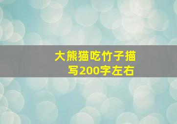 大熊猫吃竹子描写200字左右