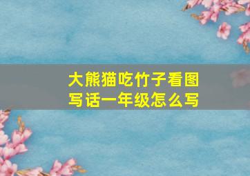 大熊猫吃竹子看图写话一年级怎么写