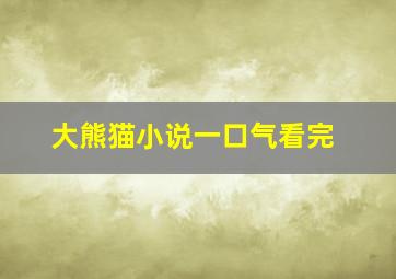 大熊猫小说一口气看完