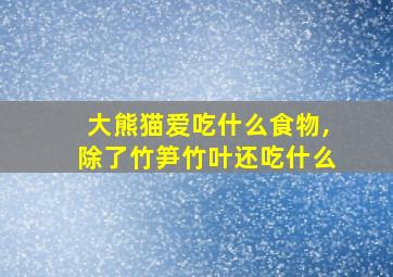 大熊猫爱吃什么食物,除了竹笋竹叶还吃什么