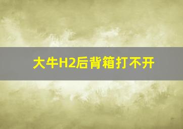 大牛H2后背箱打不开