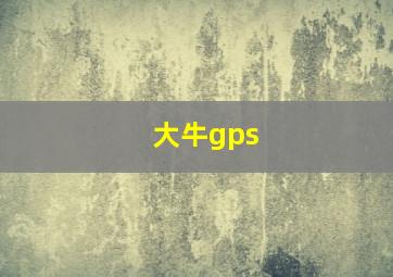 大牛gps