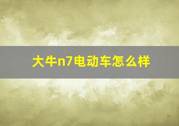 大牛n7电动车怎么样