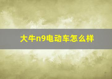 大牛n9电动车怎么样