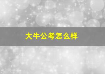 大牛公考怎么样