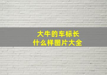 大牛的车标长什么样图片大全