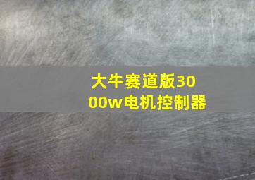 大牛赛道版3000w电机控制器