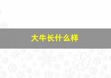 大牛长什么样