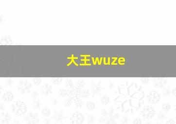 大王wuze