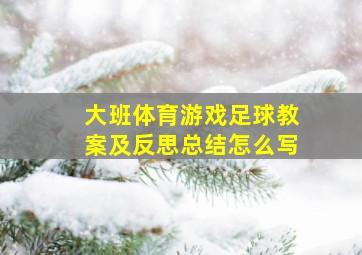 大班体育游戏足球教案及反思总结怎么写