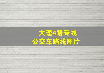 大理4路专线公交车路线图片