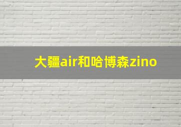 大疆air和哈博森zino