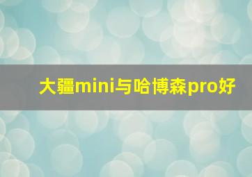 大疆mini与哈博森pro好