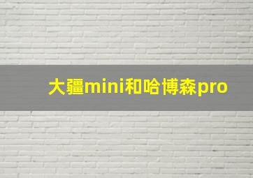 大疆mini和哈博森pro