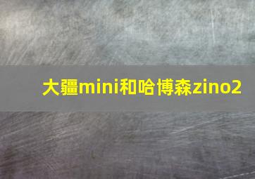 大疆mini和哈博森zino2