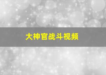 大神官战斗视频