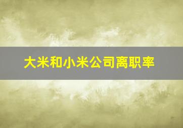 大米和小米公司离职率