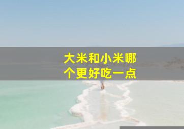 大米和小米哪个更好吃一点