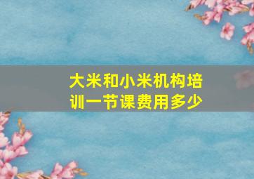 大米和小米机构培训一节课费用多少