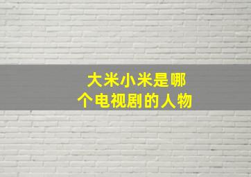 大米小米是哪个电视剧的人物