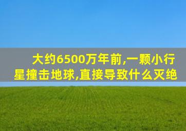 大约6500万年前,一颗小行星撞击地球,直接导致什么灭绝