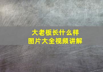 大老板长什么样图片大全视频讲解