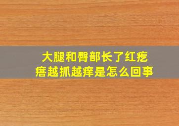 大腿和臀部长了红疙瘩越抓越痒是怎么回事