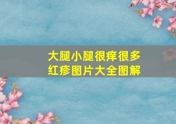 大腿小腿很痒很多红疹图片大全图解