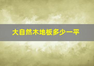 大自然木地板多少一平