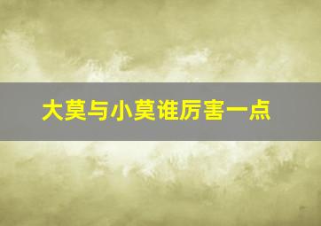 大莫与小莫谁厉害一点