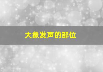 大象发声的部位