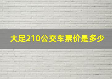 大足210公交车票价是多少