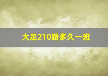 大足210路多久一班