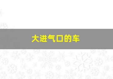 大进气口的车