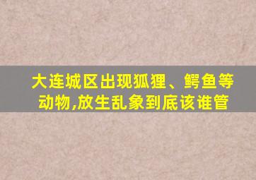 大连城区出现狐狸、鳄鱼等动物,放生乱象到底该谁管