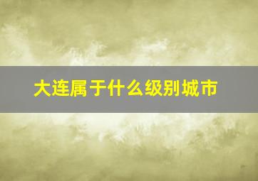 大连属于什么级别城市