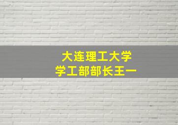 大连理工大学学工部部长王一