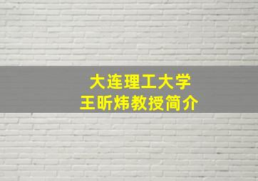 大连理工大学王昕炜教授简介