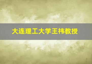 大连理工大学王祎教授