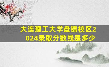 大连理工大学盘锦校区2024录取分数线是多少