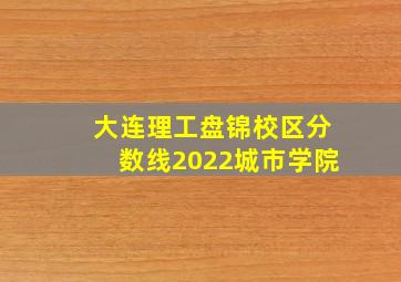 大连理工盘锦校区分数线2022城市学院